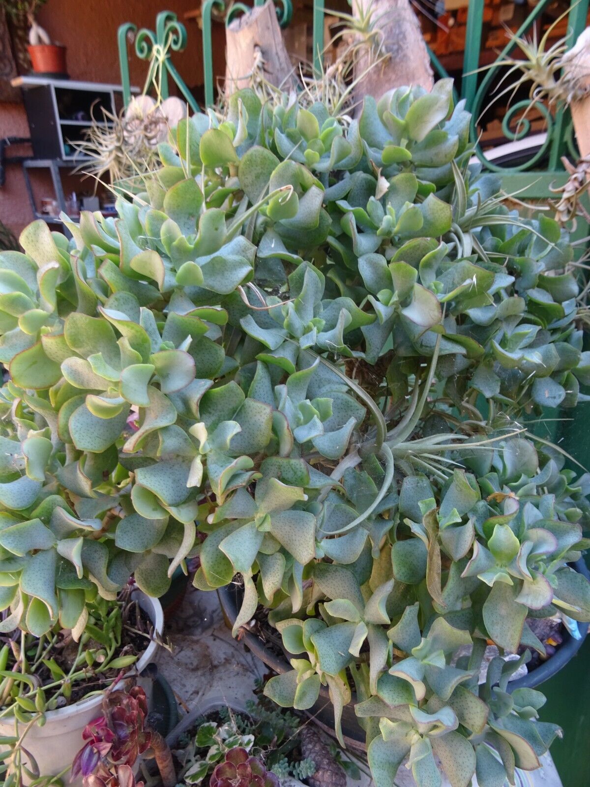 Picture 23 of 24
