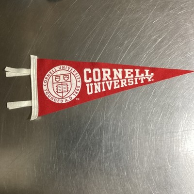 Vintage Cornell University Felt Pennant - 15 