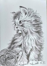 ACEO cat watercolor pencil by the author original 3,5