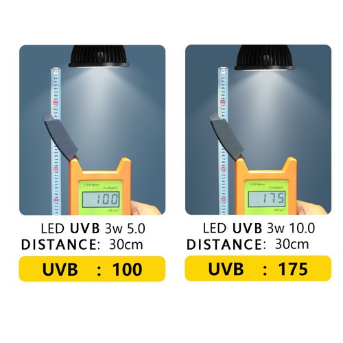 UVB Light Bulb 3W UVB Full Spectrum UVA LED Lamp for Tropical Desert Reptile - Picture 11 of 16