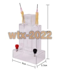 Water electrolysis experiment demonstrates the production of hydrogen and oxygen