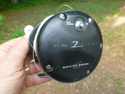 best reel for inshore saltwater fishing Saltwater Spinning Reels: A Beginner's Guide for 2026