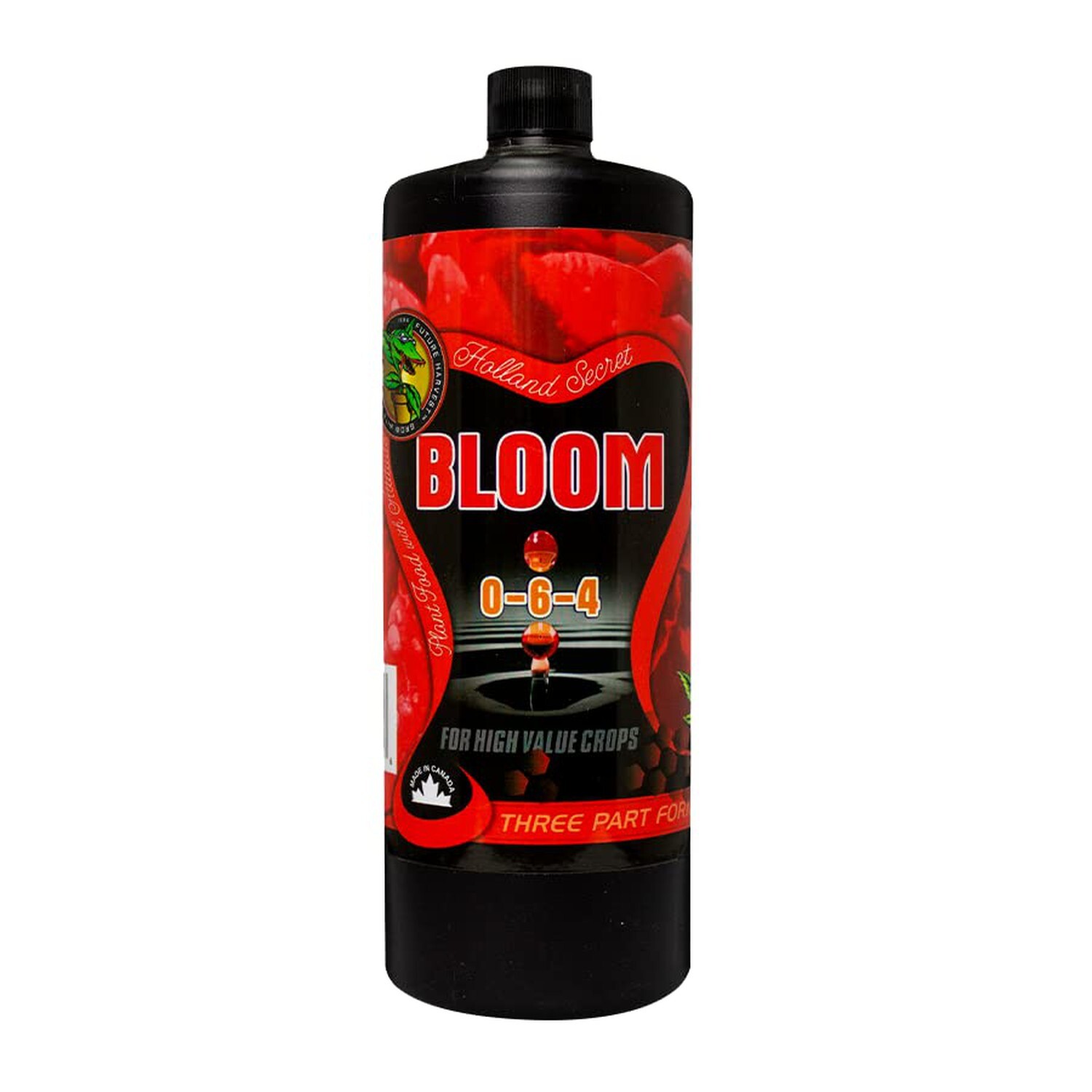 1L Holland Secret Bloom