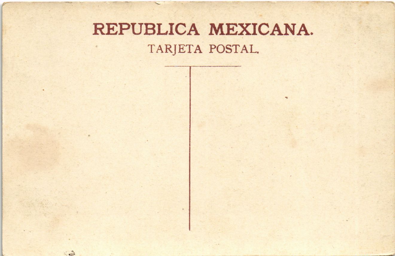 PC MEXICO, NOPALERA, CACTUSES, VINTAGE POSTCARD (b11124)