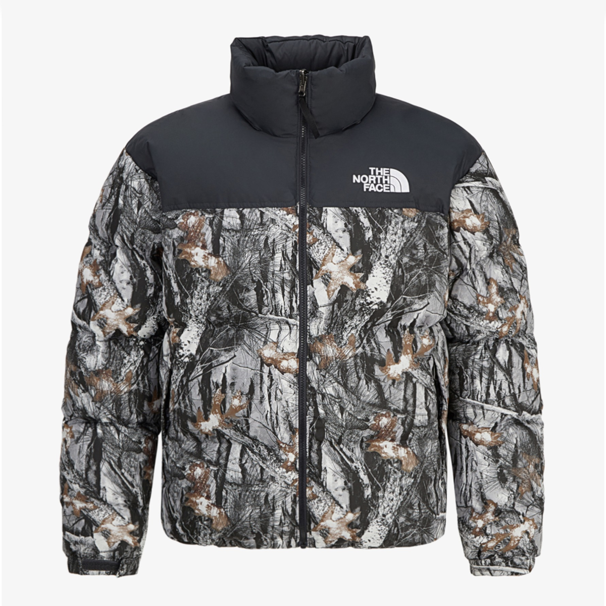 The North Face M'S 1996 NOVELTY NUPTSE JACKET (RDS DOWN