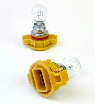 2 Stück PS19W Clear 12V PG20-1 19W Auto Lampen Glühbirnen Halogenlampe !