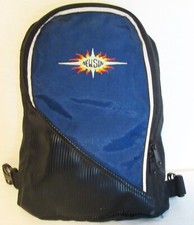 NewSun Water Resistant Ski/Multi Use 3 Pocket Adjustable Bag w/Strap - 12" X 9"