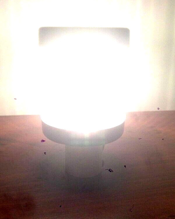 Bild 2 von 5