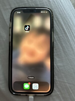 IPhone 12 Pro Max ( TIK TOK ) Ready