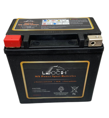 Leoch MX14-4 Powersport Battery 12V 12AH AGM Motorcycle ATV Snowmobile 230CCA