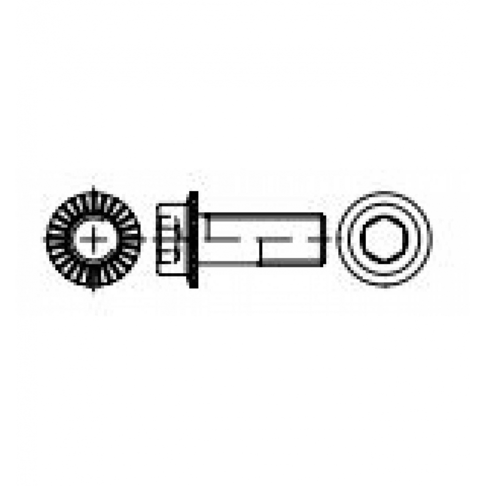 100x Flanschschrauben 100 galZn RIPP M6x12 HP Innensechskant 100x Flanschschrauben 100 galZn RIPP M6x12 HP Innensechskant