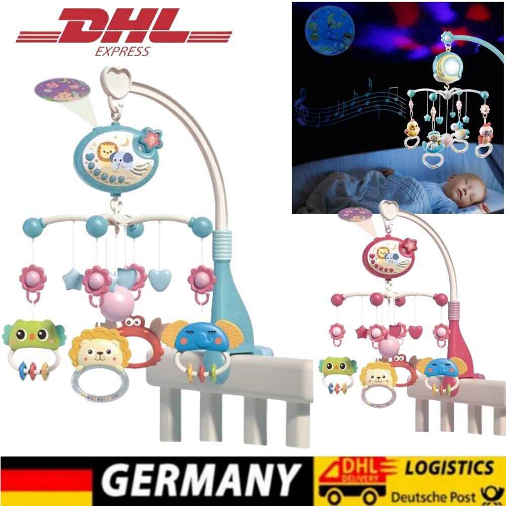 Bild 1 von 12