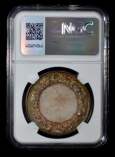 NGC MS63 Belgium Ghent Agricultural Society Medal, 38mm. By Braemt. beautiful to - Picture 4 of 4