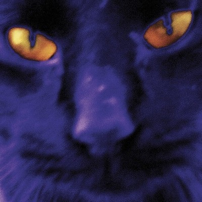 David Kilgour and the Heavy Eights - Bobbie's A Girl [New Vinyl LP] Black, Digit