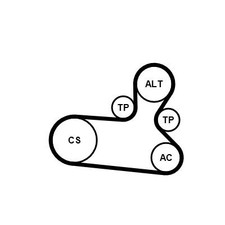 CONTINENTAL CTAM KEILRIPPENRIEMEN-SATZ passend für AUDI A4 A5 A6 A7 Q5 |
