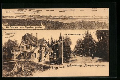 AK Esslingen/Neckar, mountain panorama, Guest House Waldschenke to the three lime trees 