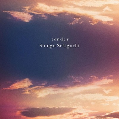 Shingo Sekiguchi tender First Edition From Japan 2 CD 15tracks