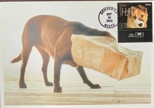 HNLP Hideaki Nakano Greeting Card Spay Neuter 3671 Dog Happy Birthday Drama