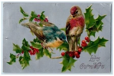 1907 Christmas Wishes Birds Holly Berries Nash Stratford SD Antique Postcard