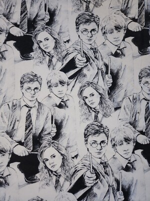 ''Harry Potter'' Characters fabric - Style: 2380015 - TM &Warner Bros. - 106''
