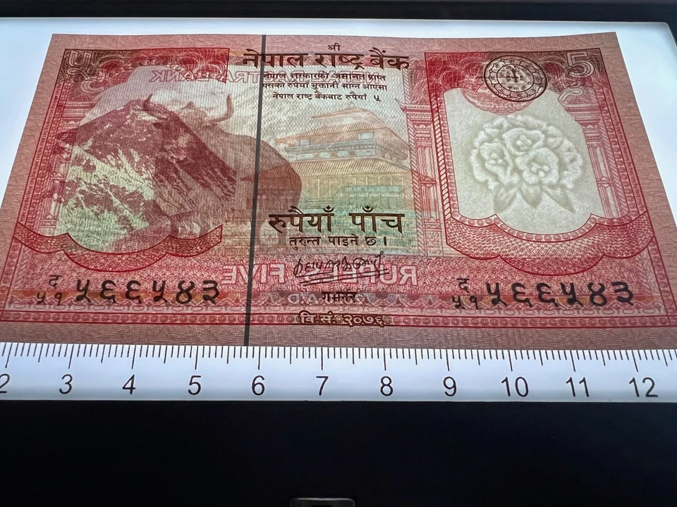 Billete de Nepal 5 Rupias Mundo Papel Monedo 2020 Moneda Sin Circular Efectivo Foto 3 de 4