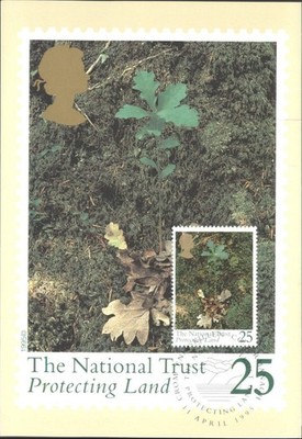 1995 National Trust Royal Mail PHQ Briefmarke Karte Eiche Setzling Naturschutz