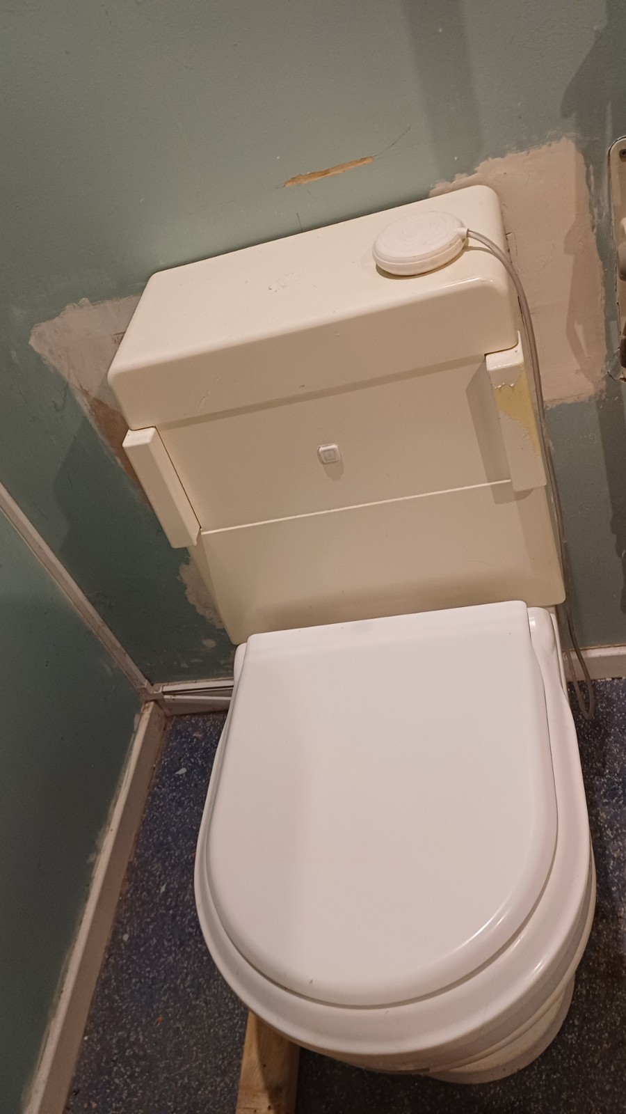 Clos O Mat Palma  Automatic Wash & Dry Shower Toilet (Bidet Toilet)  Mobility