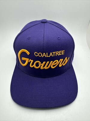 Coalatree Growers Hat Cap Snapback Purple Adjustable Embroidered