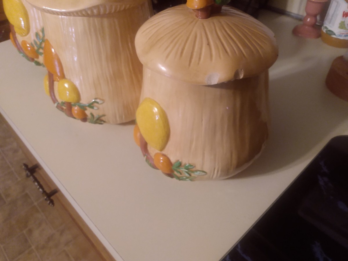 1960年代 米国ビンテージ ロイヤルテリーきのこ柄キャニスター3こ