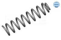 Tragfeder DB P. W211 270-320