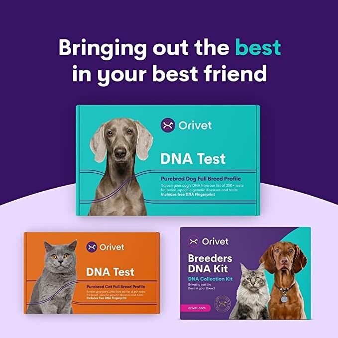 Genetic Testing Test To Find Out Dog Breed Orivet Genopet Canine