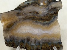Limited Stock Prudent Man Agate Slab, Lot#447