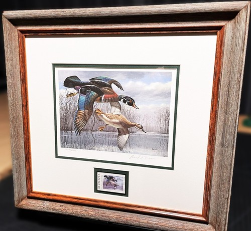 Stampa timbro David Maass 1984 Texas Waterfowl Duck con timbro - cornice nuova - Foto 3 di 7