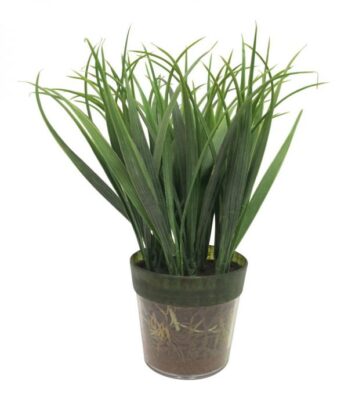 Set of 2 7'' Vanilla Grass Bush in Transparent Plastic Pot
