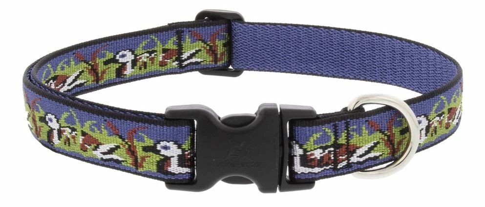 Lupine dog leash guarantee clearance