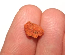 Amber Tree Sap Pitch - Dinosaur Aged Fossil - Hell Creek Formation Cretaceous