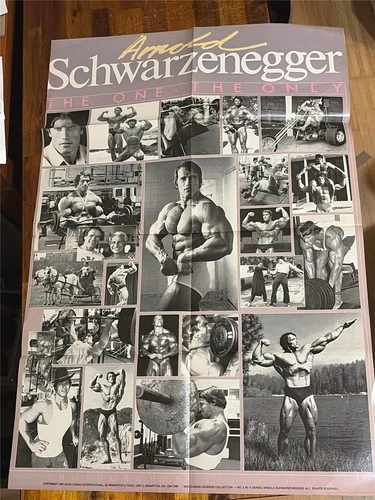 ARNOLD SCHWARZENEGGER muscle bodybuilding fitness THE ONE THE ONLY Large Poster