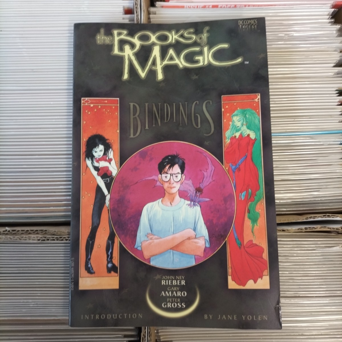 The BOOKS OF MAGIC BINDINGS 1ST 1995 - Graphic Novel Vertigo comics