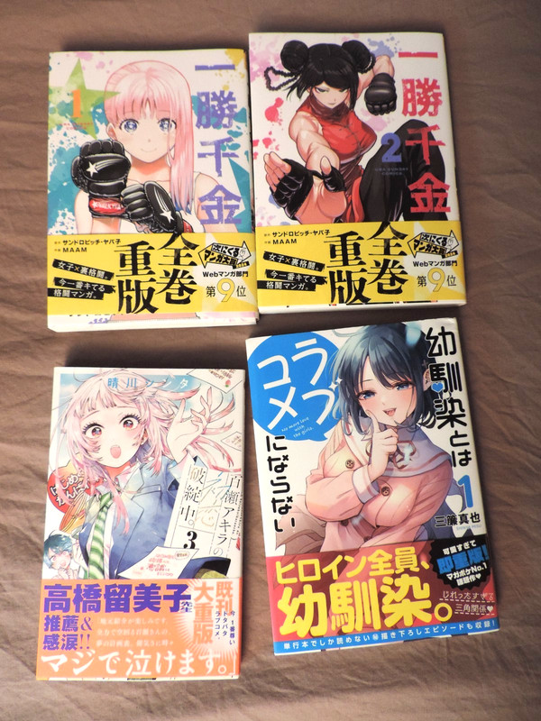 Japanese Manga Bundle - Excellent Condition