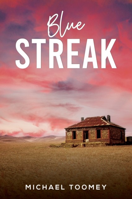 Blue Streak by Michael Toomey (Paperback Book)