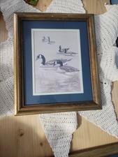 2 Anne Moller Prints Ducks on the Pond , Prints are  great