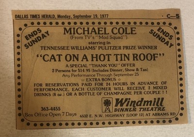 Cat On A Hot Tim Roof 1977 Dallas Texas Vintage Print Ad Advertisement pa41