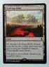 Evolving Wilds Magic MtG x1 Tarkir Dragonfury MP