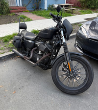 2009 Harley-Davidson XL883 N