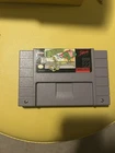 Boogerman SNES (Tested And Working)
