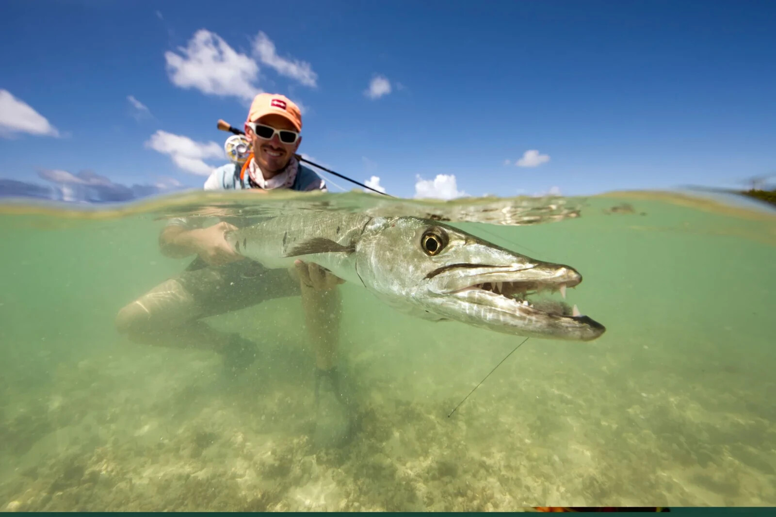 Fishing Pro Heavy Cable Combo Kit 328 ft stainless steel wire 318Lb 7 Strand NEW