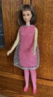 Vintage 1965 Mattel Straight Leg Brunette Hair Francie Wearing #1208 Silver Cage