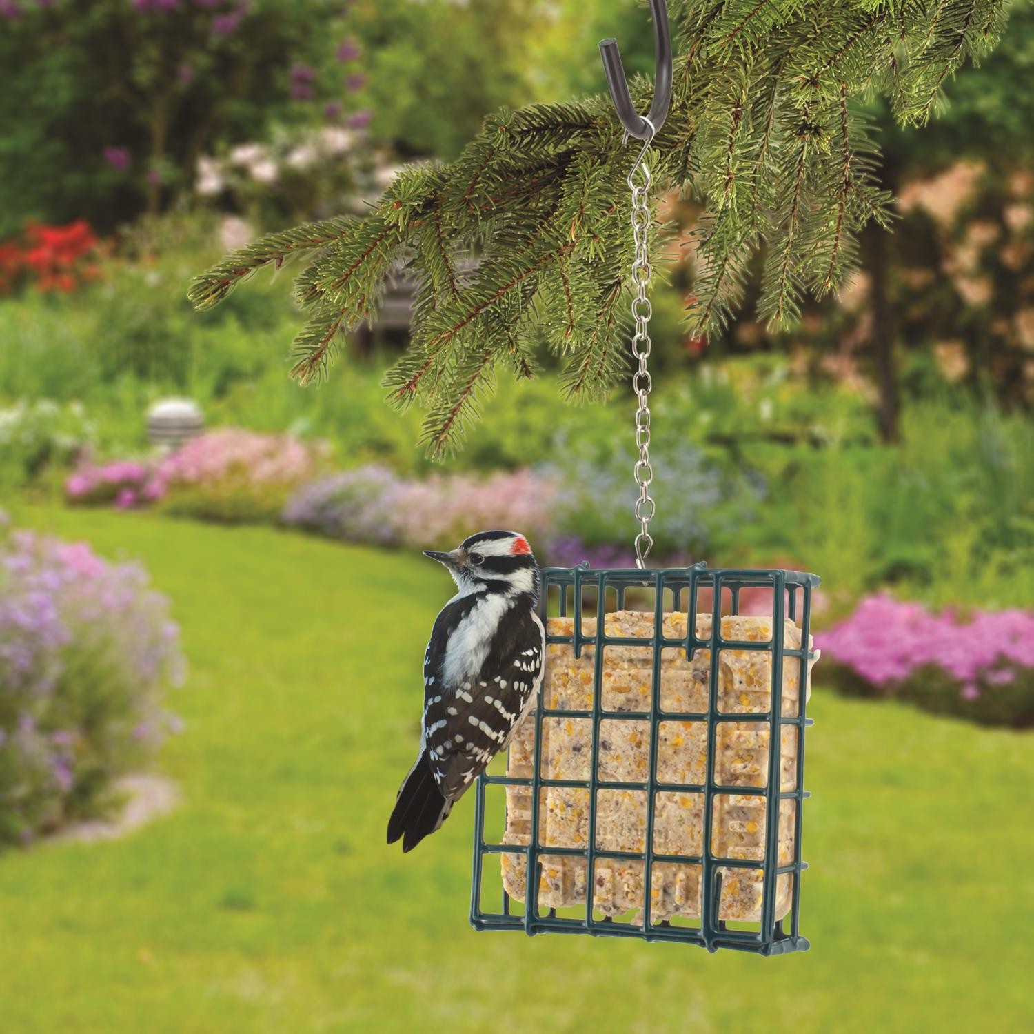 Woodlink 25121 Green Metal Wild Bird Suet Cage Small for Hold Seeds & Nut Cakes