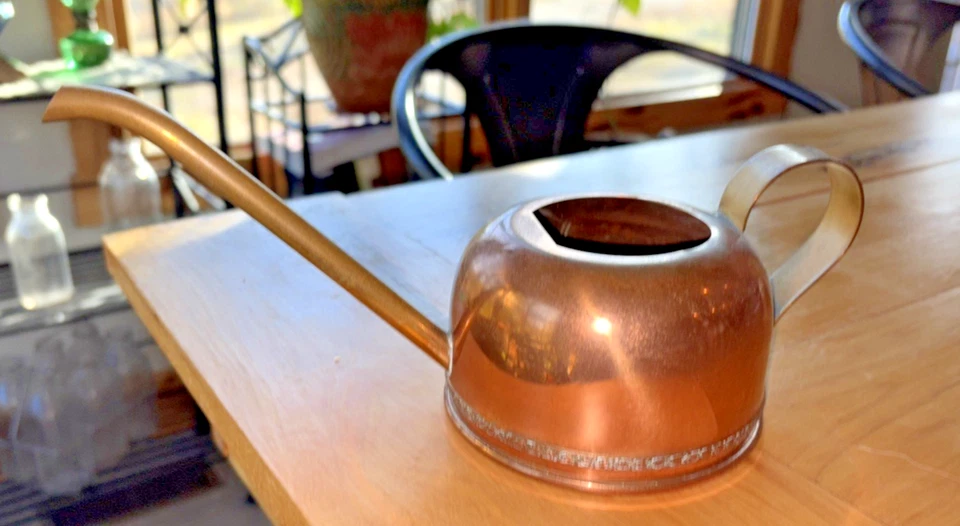 Regadera interior pequeña vintage de cobre con caño largo Foto 2 de 4