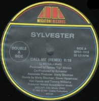 Sylvester - Call Me / Good Feeling - Vinyl Record Lp - G3Z